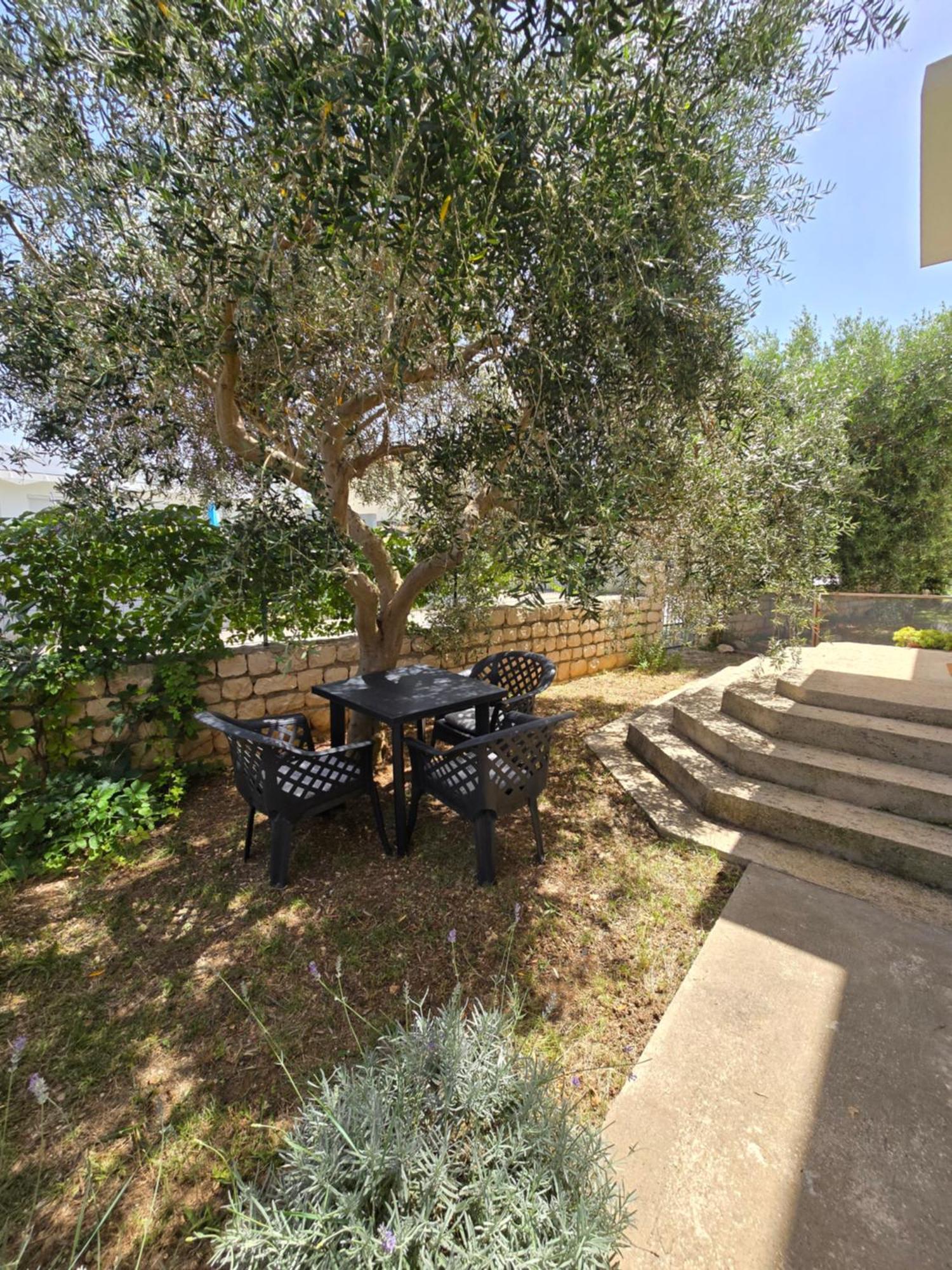Apartman Nea Nin Exterior photo